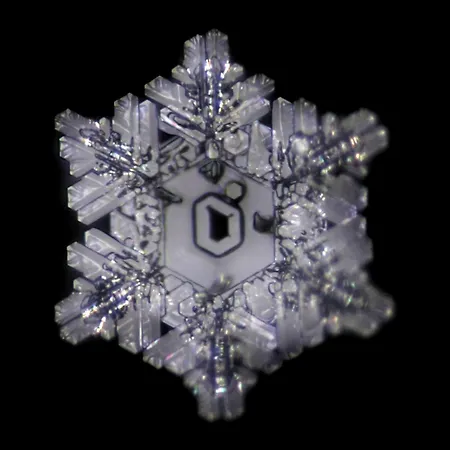 Appartementhaus Casamarai Appartement *