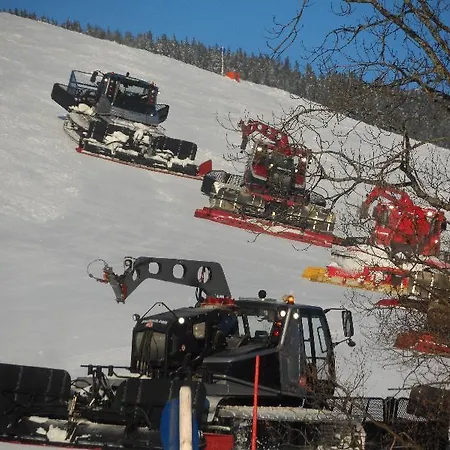 Appartement Appartementhaus Casamarai *